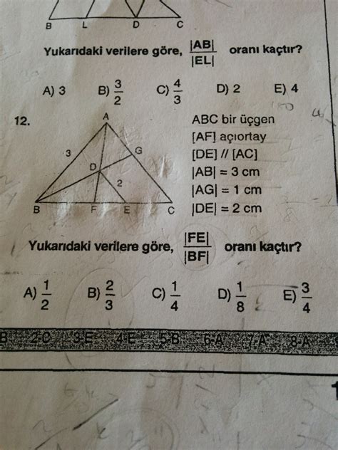 geometri 9 sınıf soruları